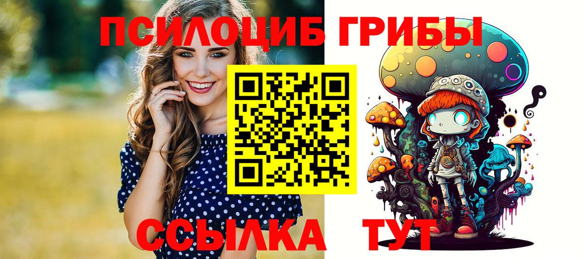 Псилоцибиновые грибы прущие грибы  Вход с VPN  Нурлат  купить  сайты  Псилоцибиновые грибы мицелий 