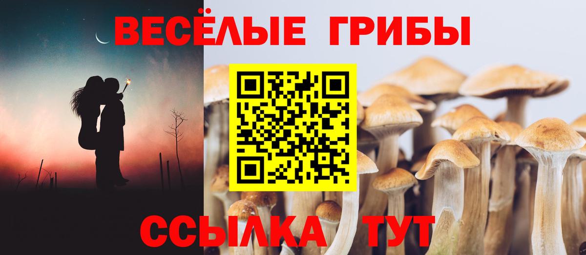 Галлюциногенные грибы мицелий Нурлат
